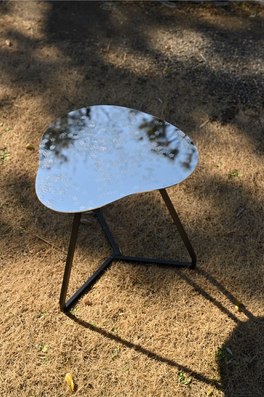 ameagari mirror